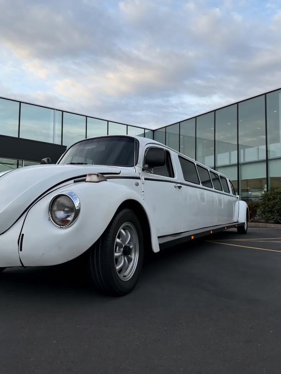 Volkswagen Beetle Limousine